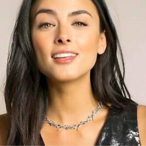 Kendra Scott Cleo Silver Necklace